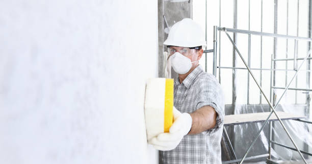 Asbestos and Lead Testing During Mold Inspection in Laurie, MO