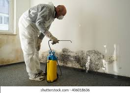 Mold Documentation for Insurance Claims in Laurie, MO